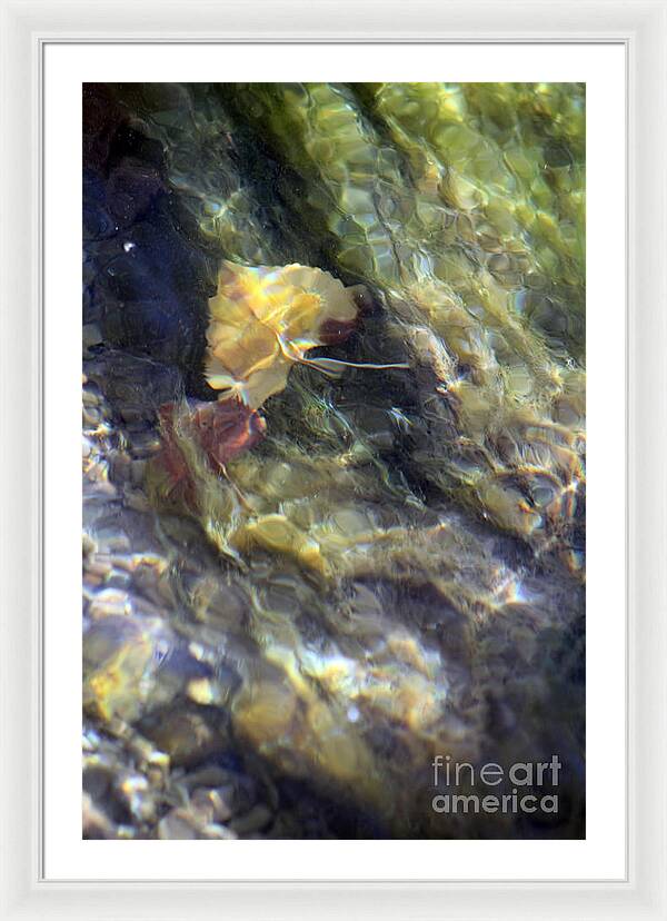 Liquid Leaves 2 - Framed Print