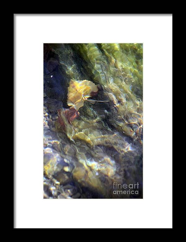 Liquid Leaves 2 - Framed Print