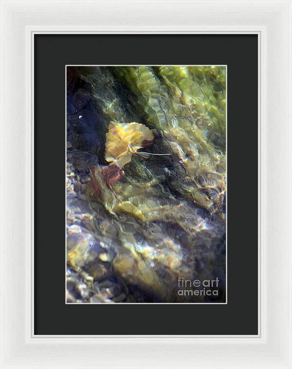 Liquid Leaves 2 - Framed Print