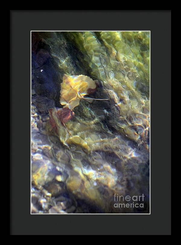 Liquid Leaves 2 - Framed Print