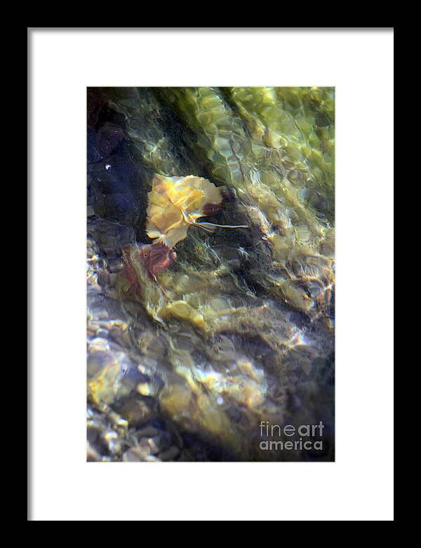 Liquid Leaves 2 - Framed Print