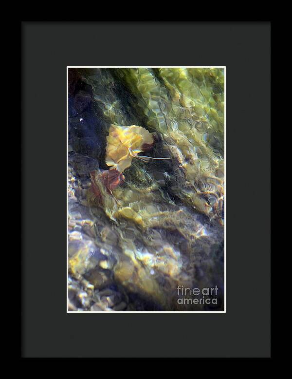 Liquid Leaves 2 - Framed Print