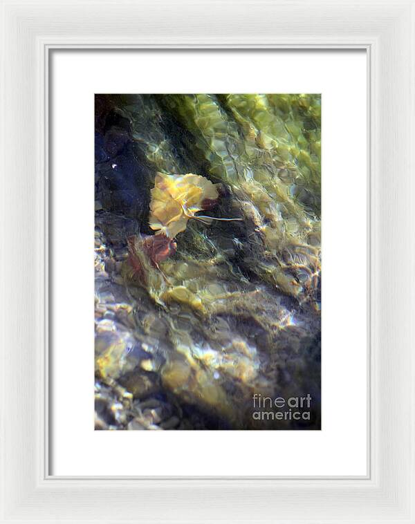 Liquid Leaves 2 - Framed Print