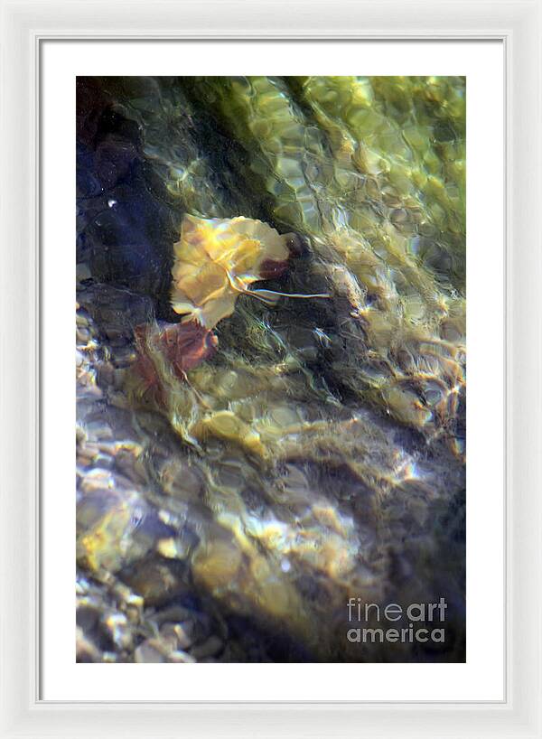 Liquid Leaves 2 - Framed Print