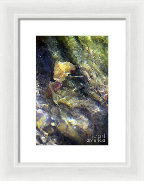 Liquid Leaves 2 - Framed Print