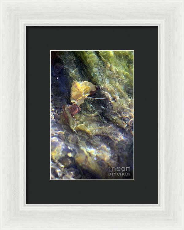 Liquid Leaves 2 - Framed Print
