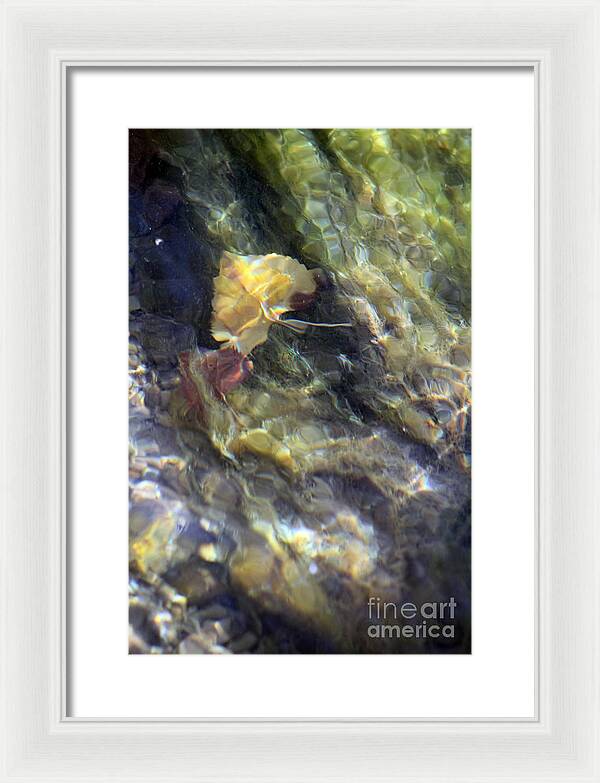 Liquid Leaves 2 - Framed Print