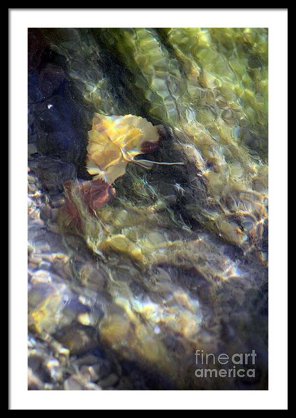 Liquid Leaves 2 - Framed Print