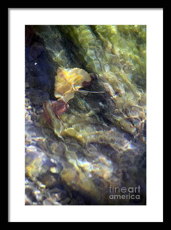 Liquid Leaves 2 - Framed Print