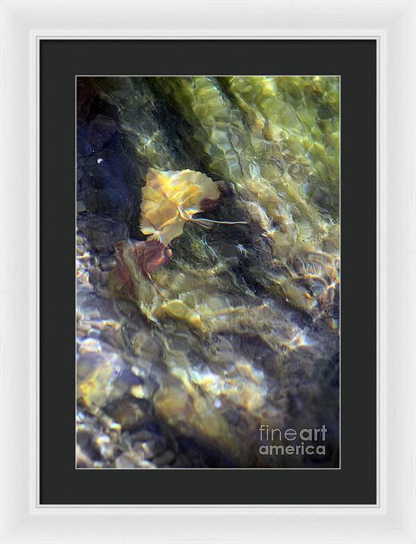 Liquid Leaves 2 - Framed Print