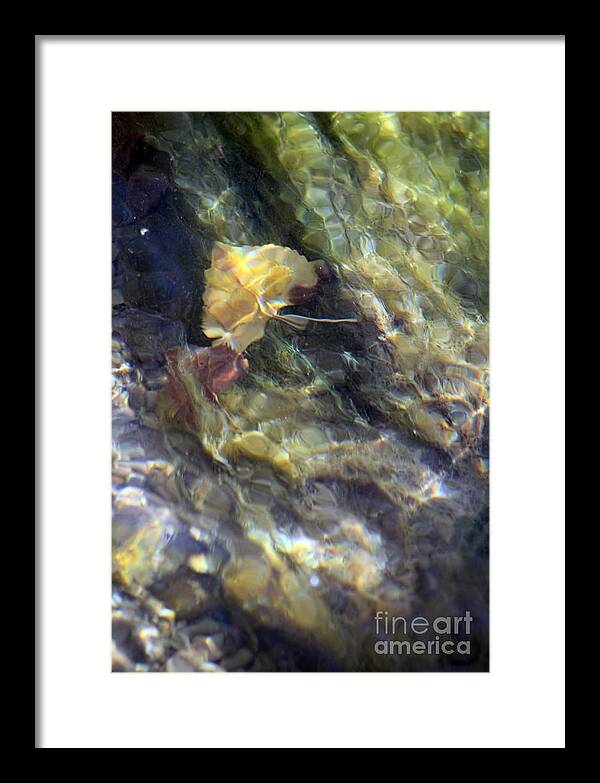 Liquid Leaves 2 - Framed Print