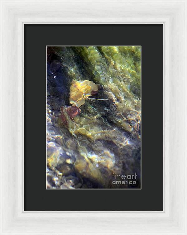 Liquid Leaves 2 - Framed Print