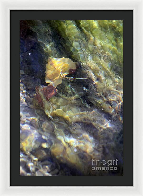 Liquid Leaves 2 - Framed Print
