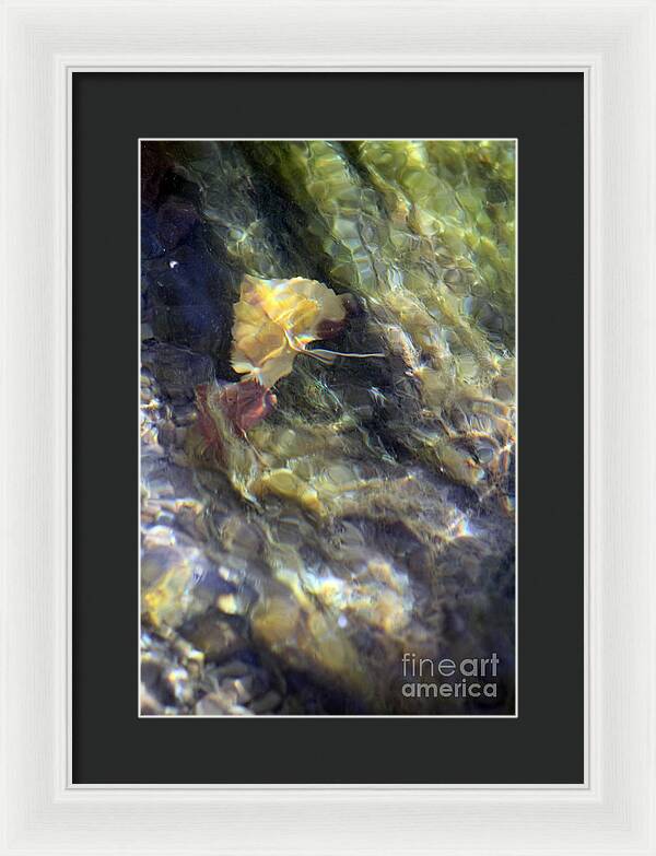 Liquid Leaves 2 - Framed Print