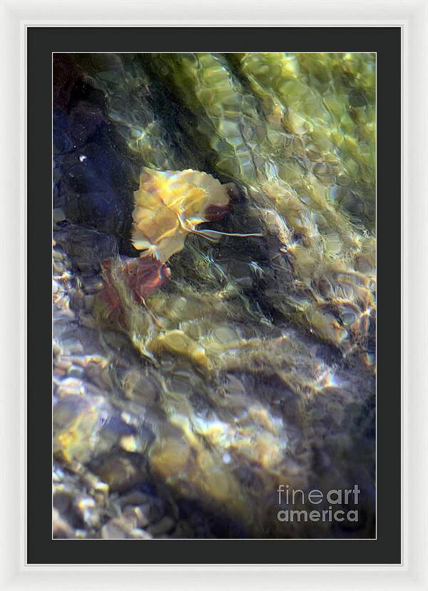 Liquid Leaves 2 - Framed Print