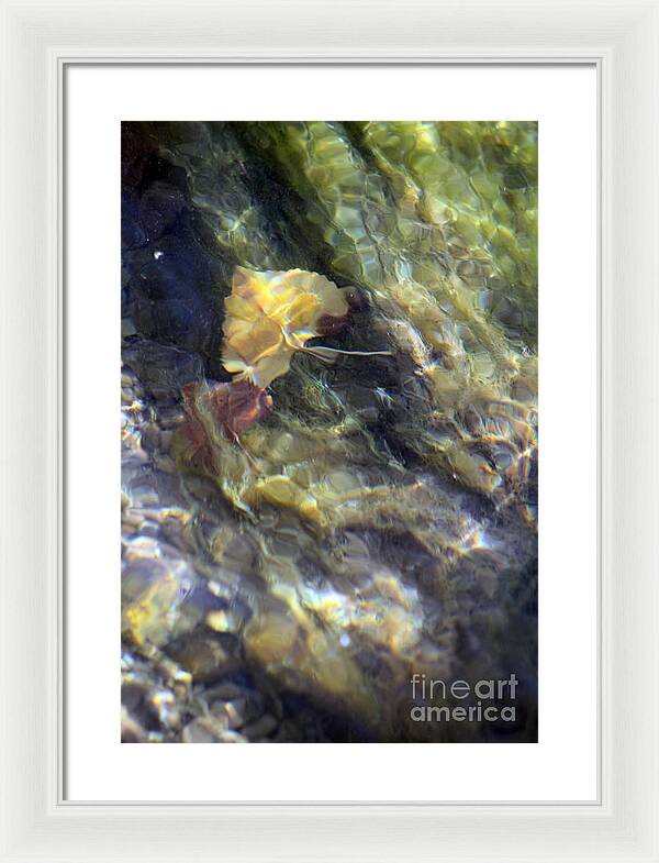 Liquid Leaves 2 - Framed Print