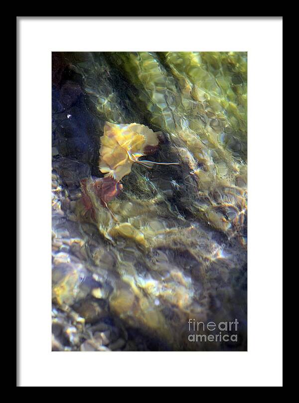 Liquid Leaves 2 - Framed Print