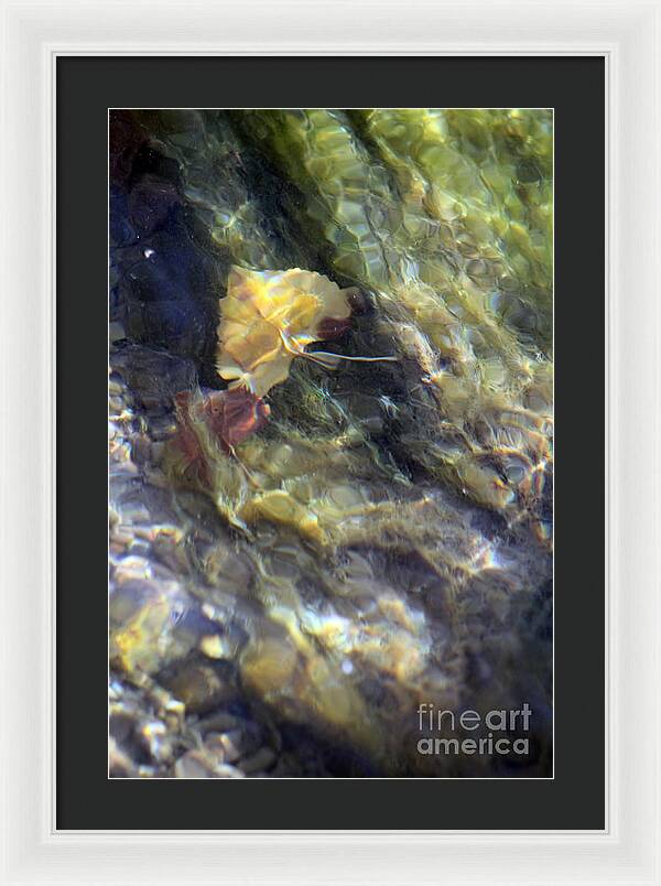 Liquid Leaves 2 - Framed Print