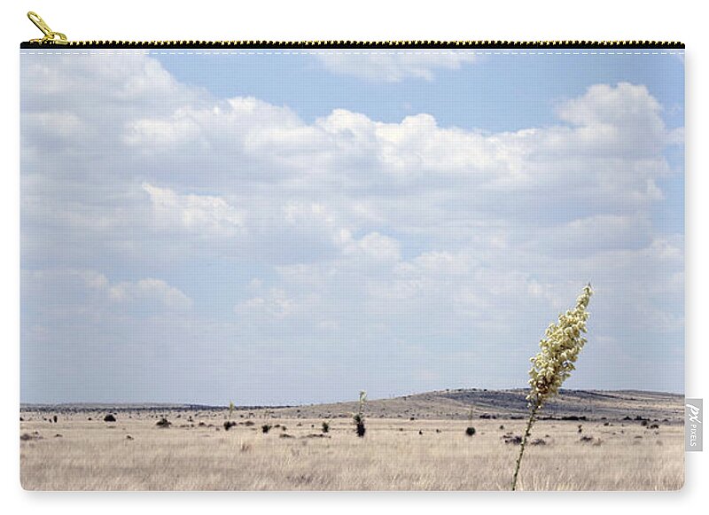 Marfa Yucca - Zip Pouch