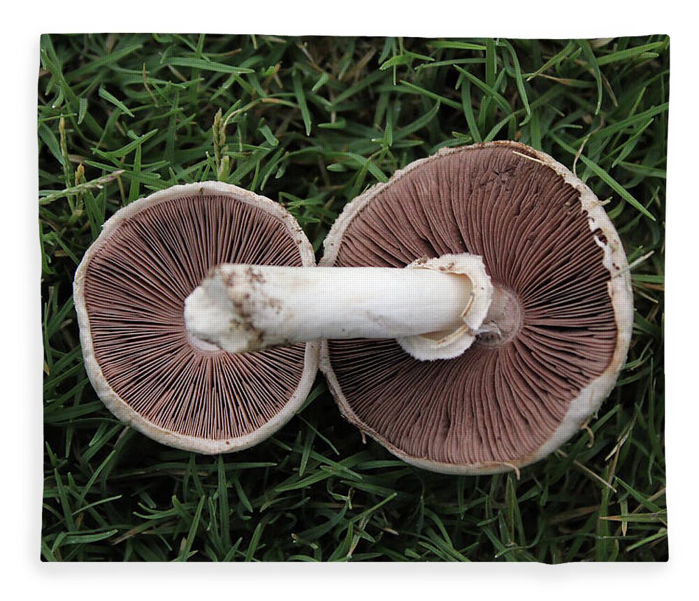 Mushroom Duet - Blanket
