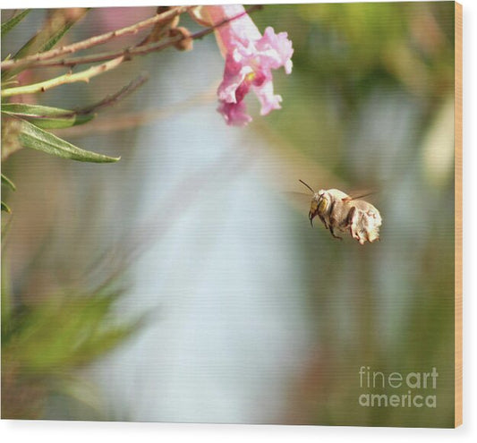 The Pollinator - Wood Print