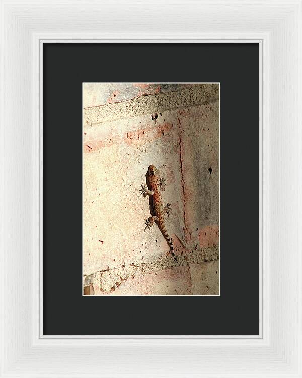 The Wall Walker - Framed Print