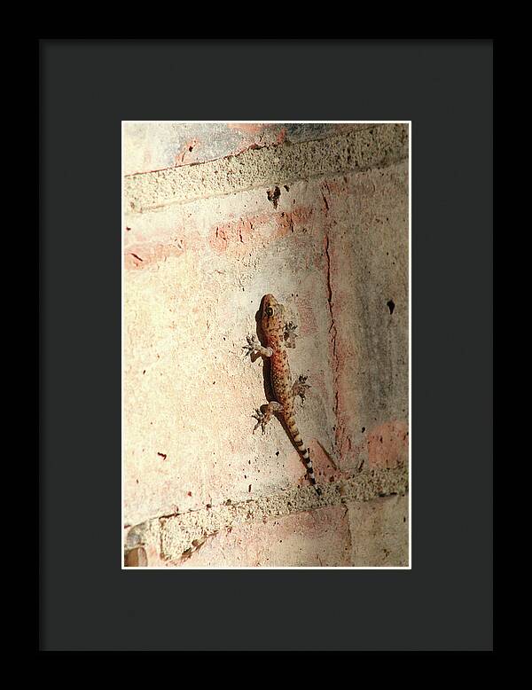 The Wall Walker - Framed Print