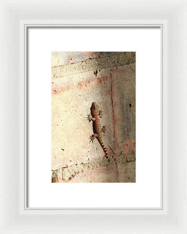 The Wall Walker - Framed Print