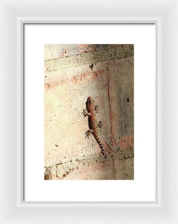 The Wall Walker - Framed Print