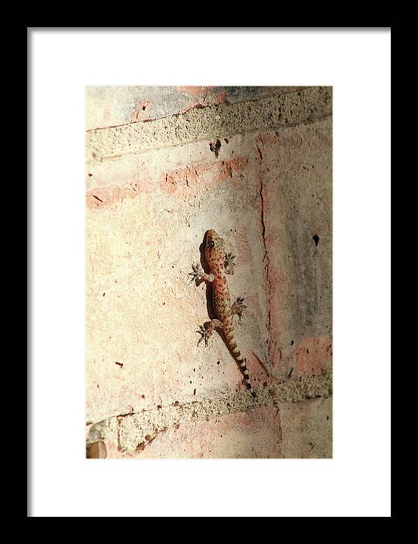 The Wall Walker - Framed Print