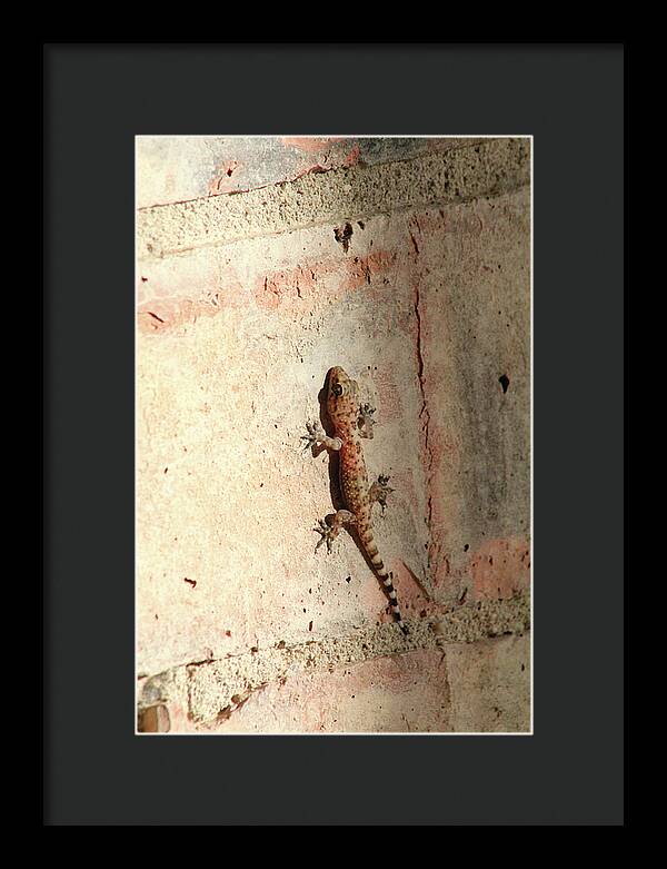 The Wall Walker - Framed Print