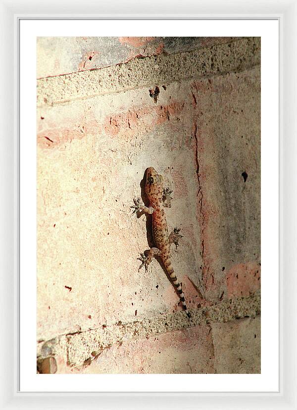 The Wall Walker - Framed Print