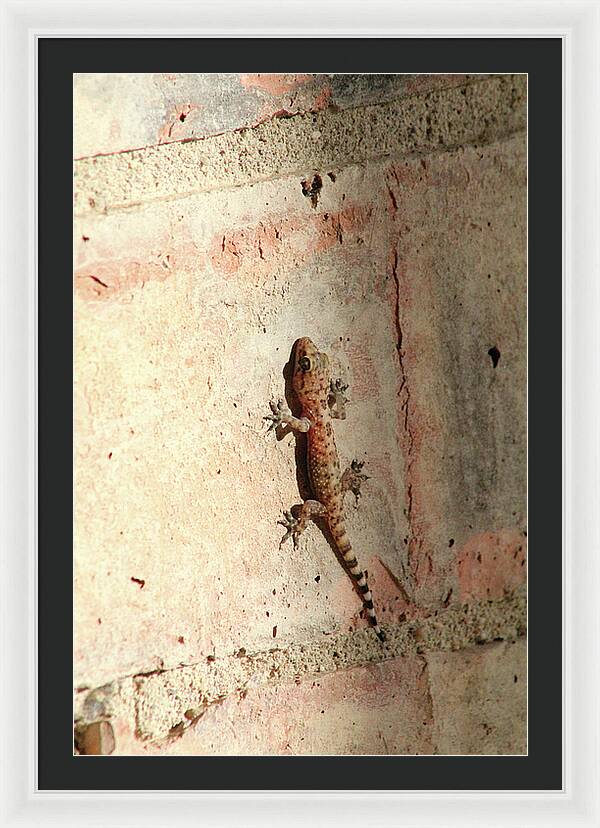 The Wall Walker - Framed Print