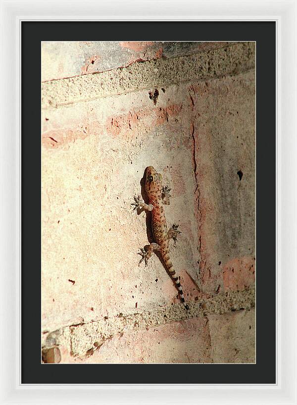 The Wall Walker - Framed Print