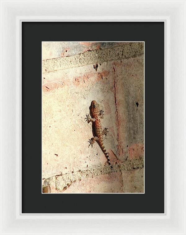 The Wall Walker - Framed Print