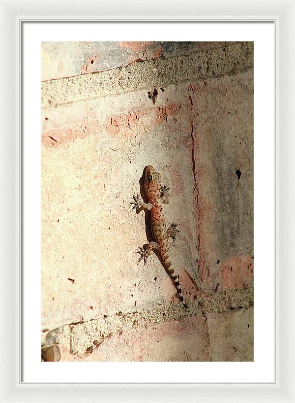 The Wall Walker - Framed Print