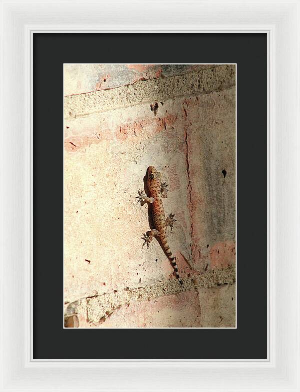 The Wall Walker - Framed Print