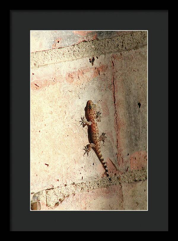 The Wall Walker - Framed Print
