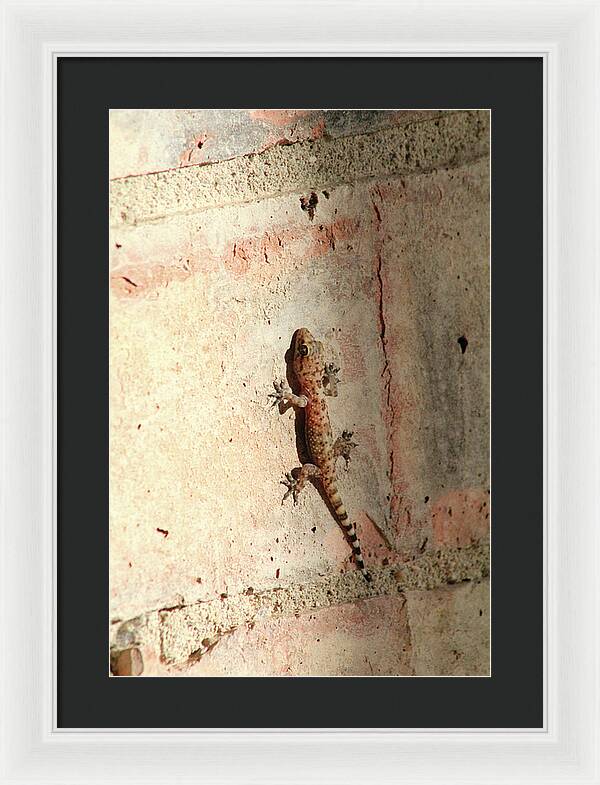 The Wall Walker - Framed Print