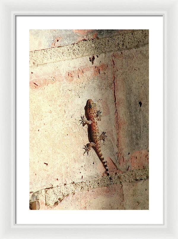 The Wall Walker - Framed Print
