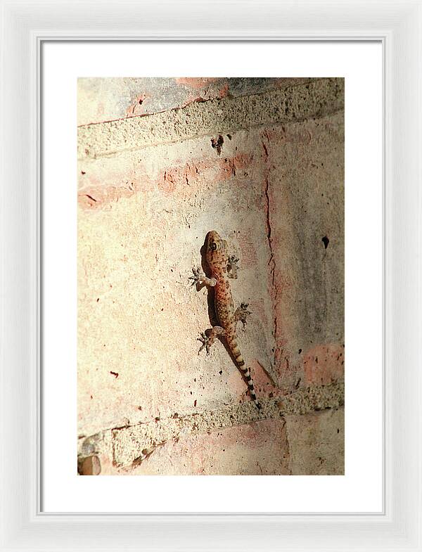 The Wall Walker - Framed Print