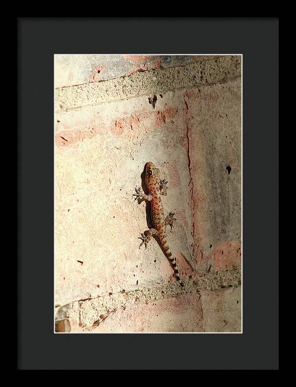 The Wall Walker - Framed Print