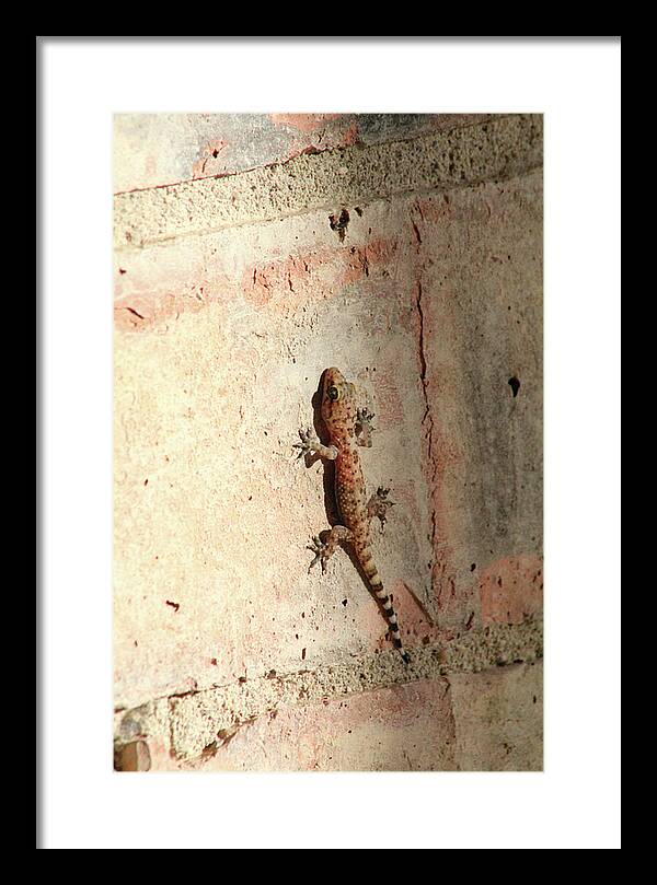 The Wall Walker - Framed Print
