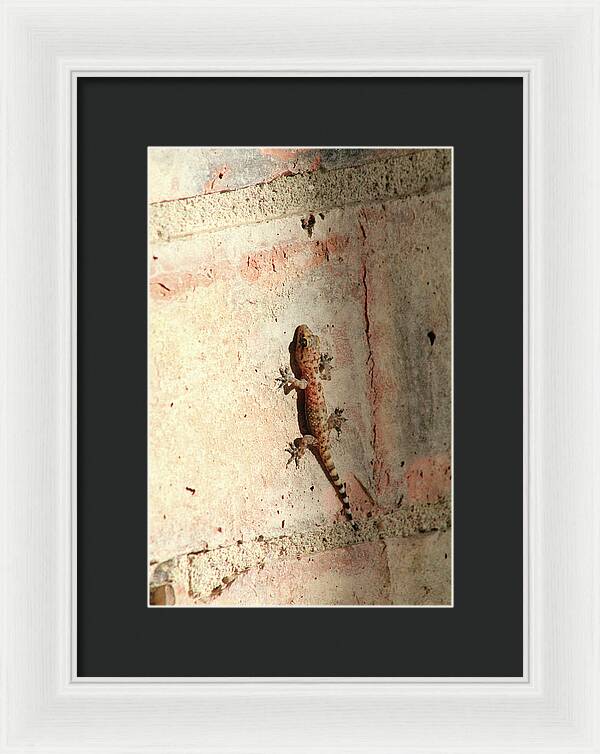 The Wall Walker - Framed Print