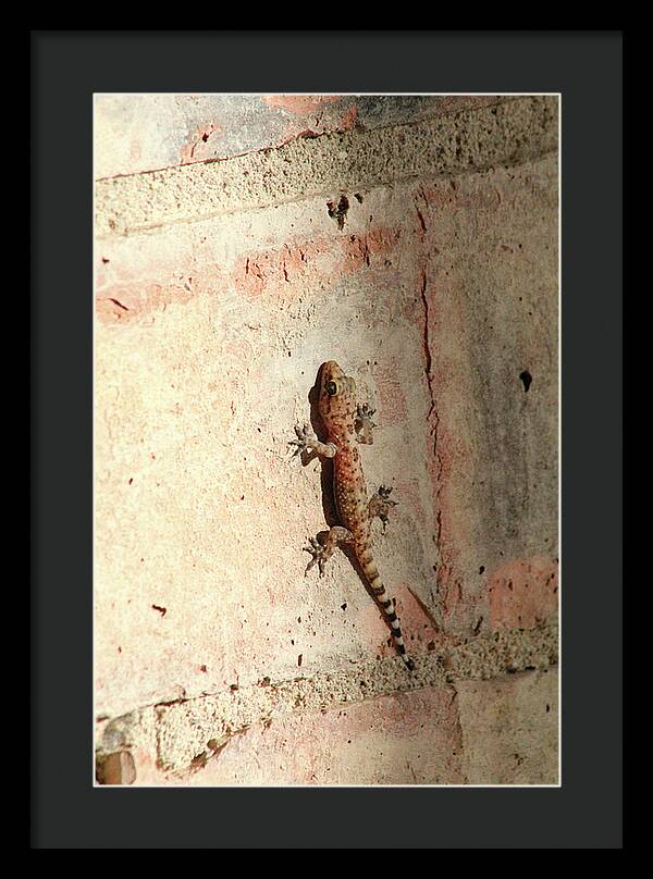 The Wall Walker - Framed Print