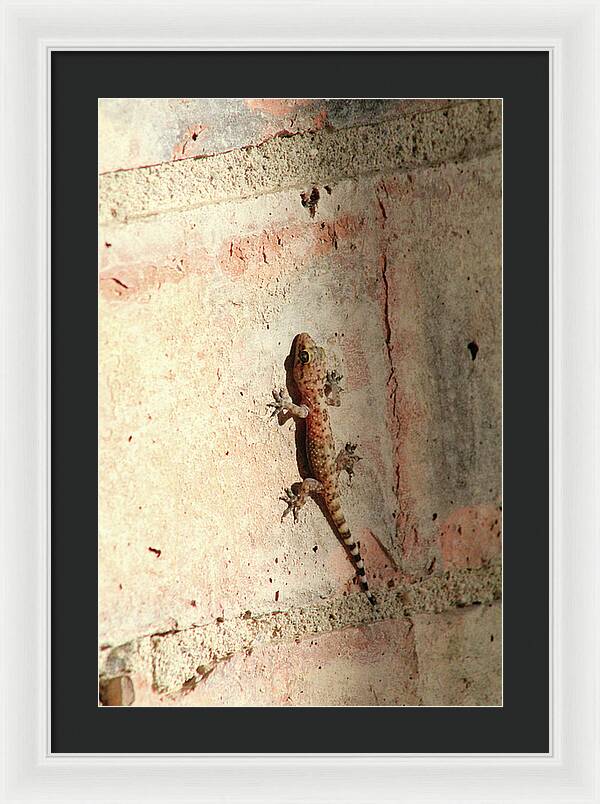 The Wall Walker - Framed Print