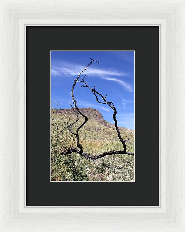 Twig Window - Framed Print