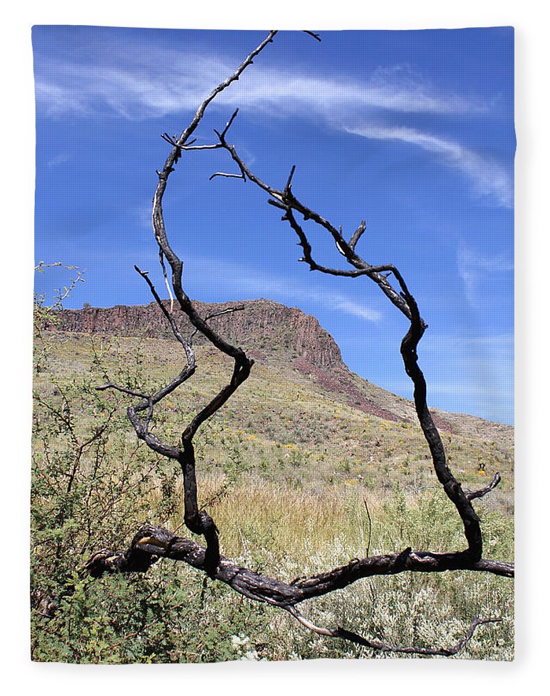 Twig Window - Blanket