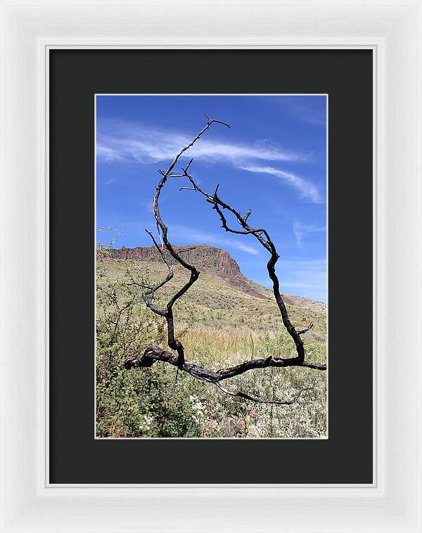 Twig Window - Framed Print