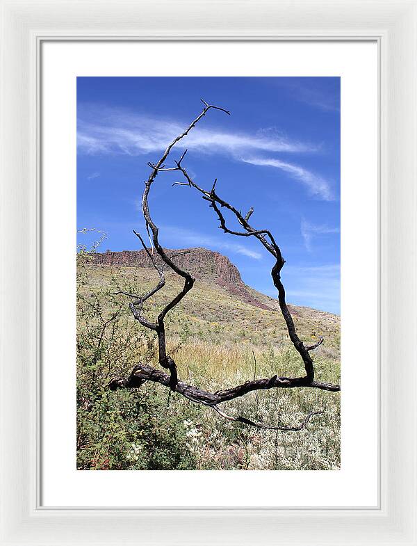 Twig Window - Framed Print